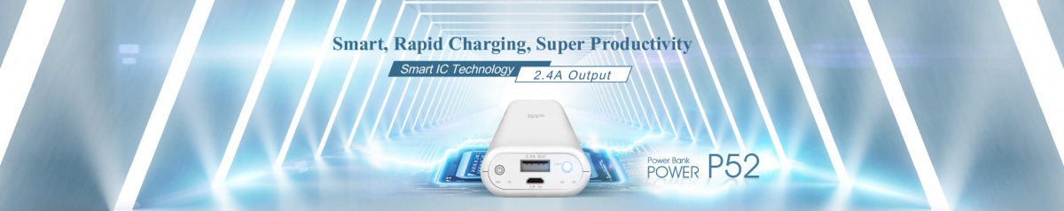 Power Banks van shop.EuropeSecurity.nl
